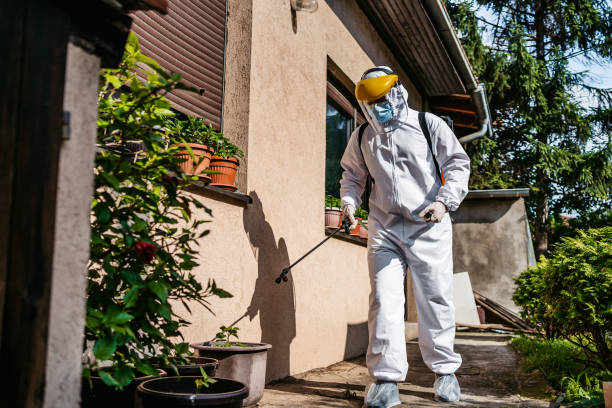 Best Residential Pest Control  in Fairmount, GA