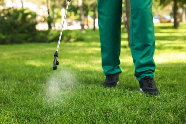 Best Pest Inspection Near Me  in Fairmount, GA