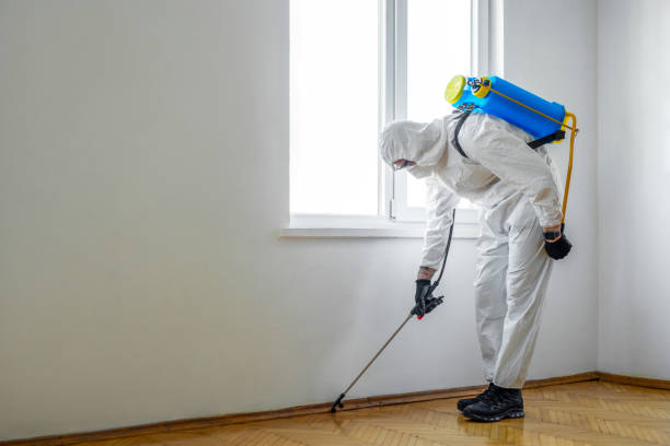 Best Cockroach Control Services  in Fairmount, GA