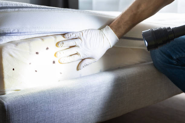 Best Emergency Pest Control  in Fairmount, GA