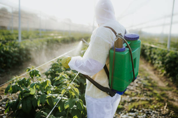 Best Local Pest Control Services  in Fairmount, GA